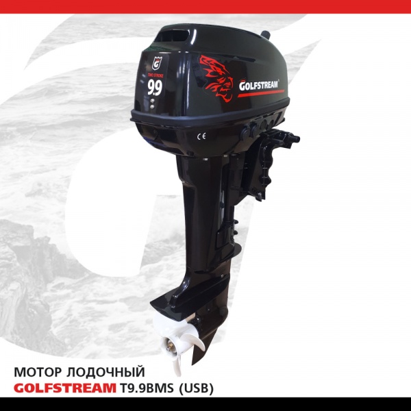 Мотор лодочный GOLFSTREAM T 9.9 BMS USB от магазина Капитан